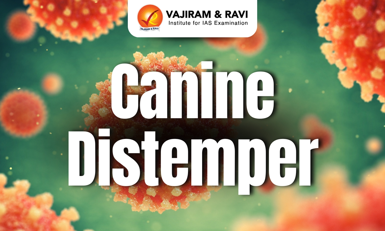 Canine Distemper
