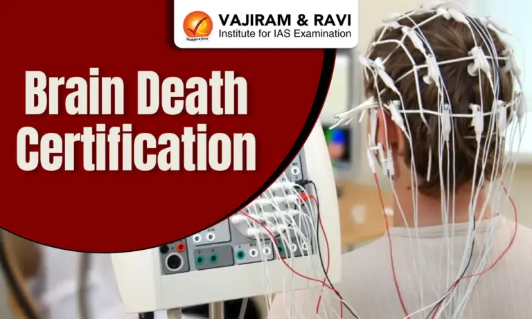 Brain Death Certification