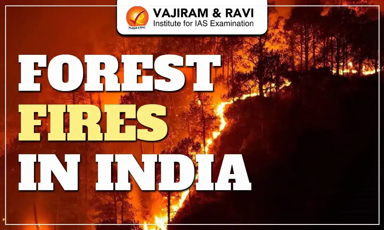 Forest Fires in India