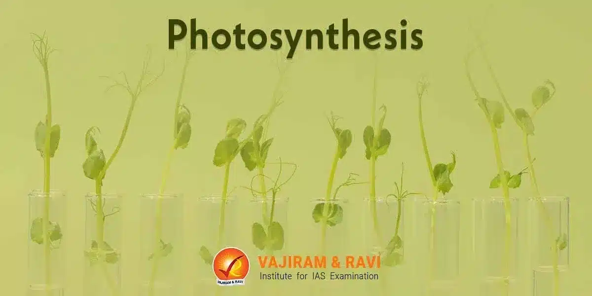 Photosynthesis
