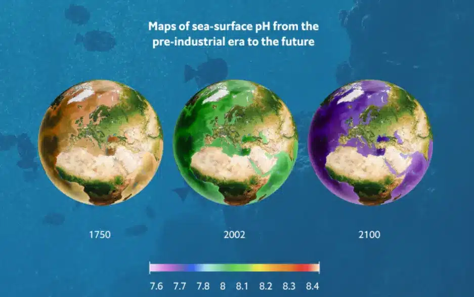 Ocean Acidification pH Levels