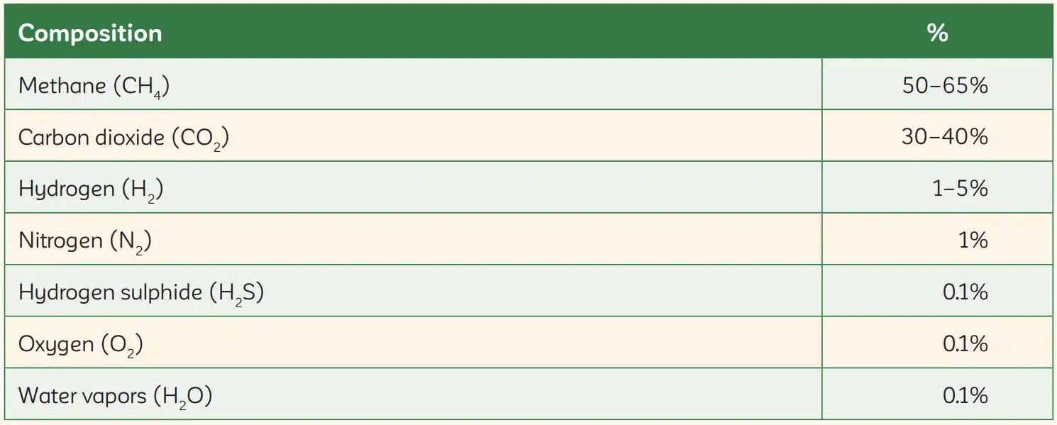 Composition of Biogas