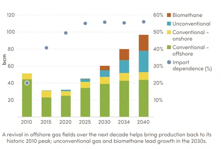 Domestic gas production in India in the STEPS (Stated Policies Scenario)