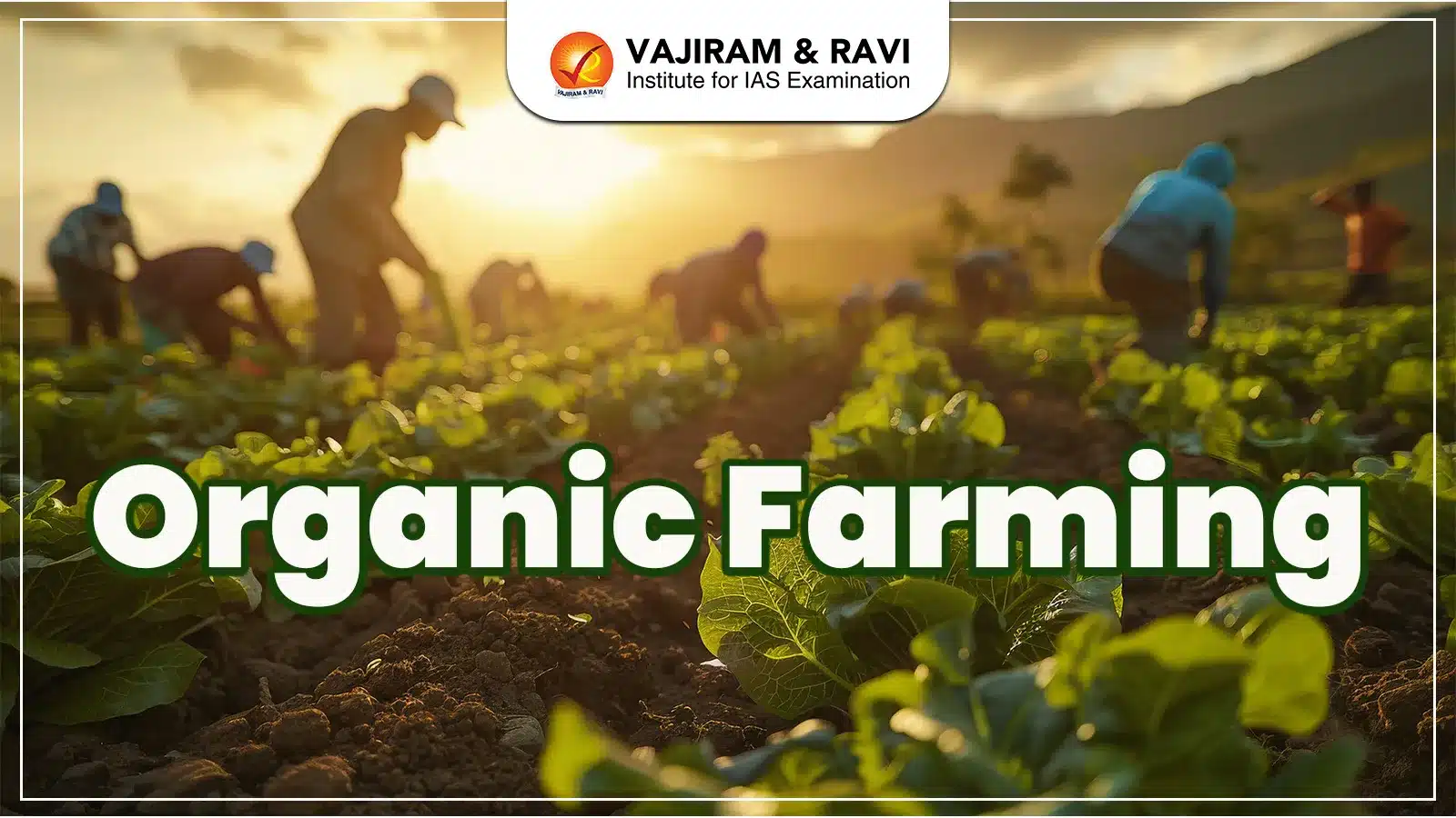 Organic Farming